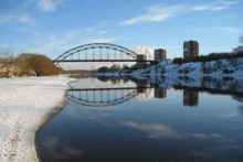 ��� �����: 