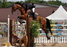 ��������� � ��������� ����������� ������� ����� ����� ���������� �� ������������� �����-����������� ������